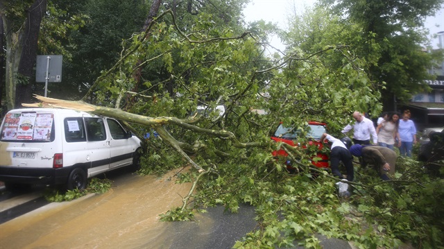 İstanbul'daki fırtınada 228 ağaç devrildi