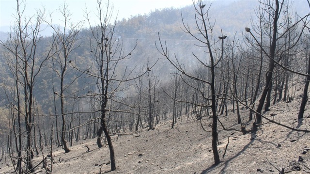 İzmir Bayındır’da iki gün önce başlayan ve Manisa Turgutlu sınırına kadar 500 hektarlık alanda etkili olan yangın 4 gündür devam ediyordu. 