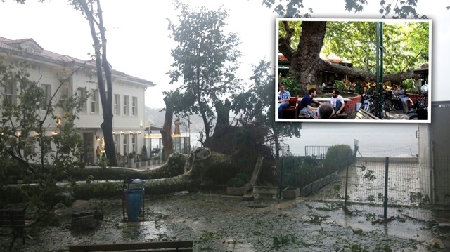 Çengelköy Çınaraltı mevkisinde tarihi anıt çınar fırtınada zarar gördü. Öncesinde önemli bir buluşma noktasıydı.