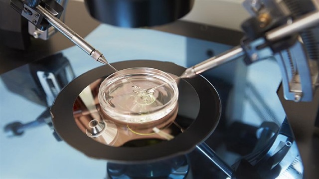 ABD'de ilk kez insan geni embriyosu değiştirildi