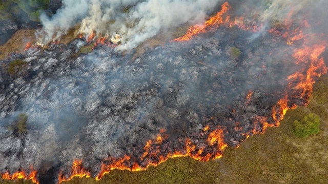 ​Sinop’ta çıkan orman yangında büyük bir bölge zarar gördü.