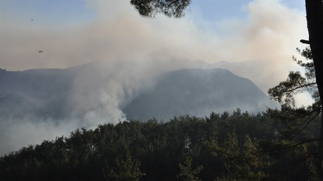 Hatay'daki orman yangınında 30 hektar alan zarar gördü.