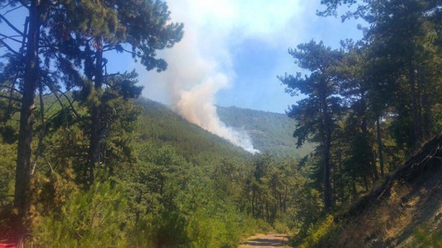 Balıkesir’in Sındırgı ilçesine bağlı Kertil Dağı’nda başlayan yangında 7 hektarlık alan zarar gördü.