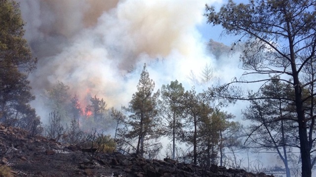Orman yangınlarının bir haftalık bilançosu açıklandı.