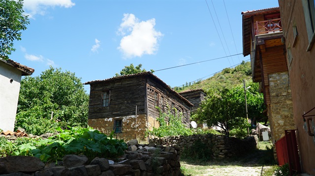 yeni safak