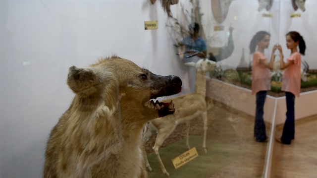 تركيا.. متحف الحيوانات يسجل أكثر من مليون زائر في 3 أشهر
