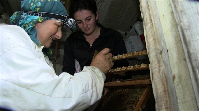 Melahat Gülbin ve kızı Filiz Gülbin, Gürcistan sınırına 500 metre mesafede Kafkas ırkı kraliçe olarak da anılan ‘ana arı’ yetiştiriyor.