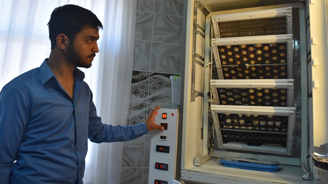Diyarbakır'da hurdadan aldığı buzdolabını kuluçka makinesine dönüştüren 22 yaşındaki Yusuf Altundal, yumurtalardan civciv çıkarıp yetiştiriyor.

