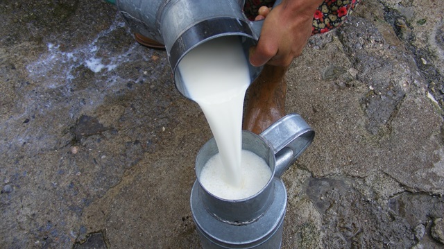 Veteriner Hekim Hamit Mertoğlu, sokakta süt satanların, süt kesilmesin diye içine kendi bilgi dağarcıklarında icat ettikleri kimyasal maddeleri kattıkları iddiasında bulundu.