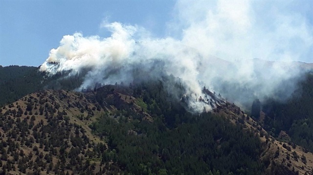 Erzurum’da orman yangını