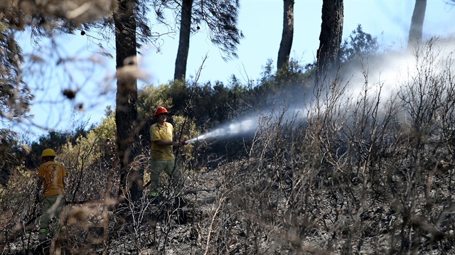 Son dakika İzmir Karşıyaka’da orman yangını! 