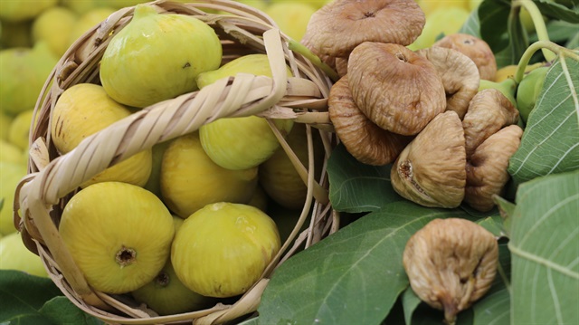 Sezonun ilk kuru inciri kilosu 200 TL’den alındı.