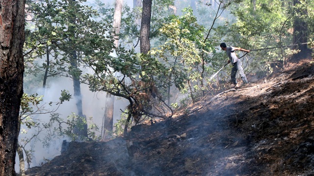 Kazdağları'nın 4 ayrı noktasında orman yangını çıkmıştı. 