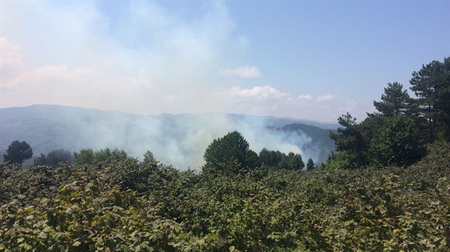 Zonguldak'ta çıkan orman yangını söndürüldü