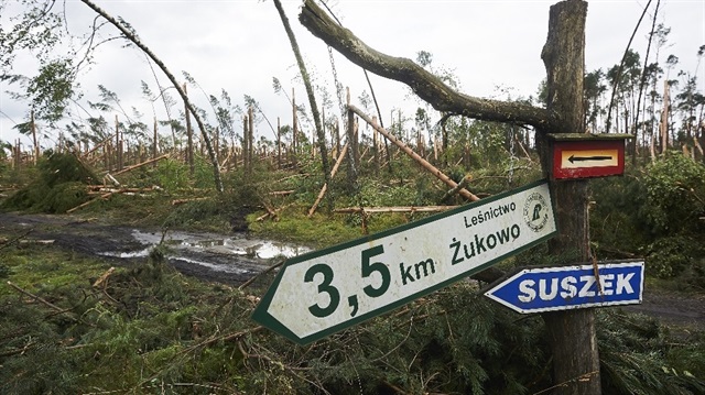 Polonya’da fırtına: 4 ölü, 28 yaralı