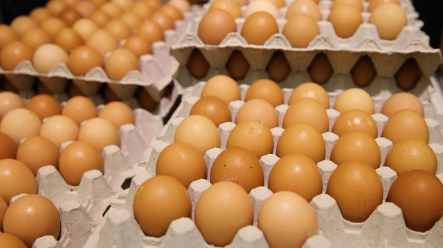 Güney Kore'de büyük çiftliklerde yumurta üretimi yasaklandı. 
