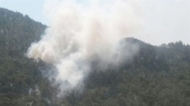 Milas'taki orman yangınına havadan ve karadan müdahale edildi.  