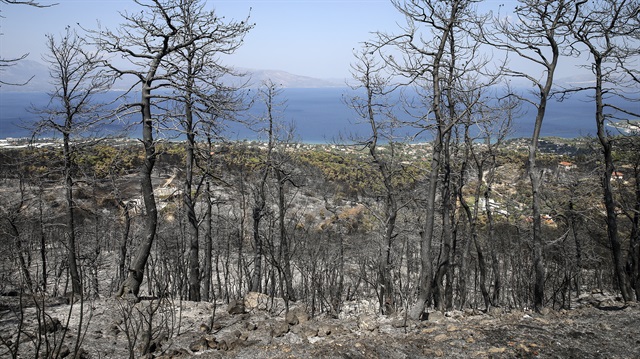 Yunanistan'daki orman yangını kontrol altında
