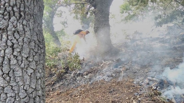 Yangına Orman İşletme Müdürlüğü ekiplerince müdahale edildi.