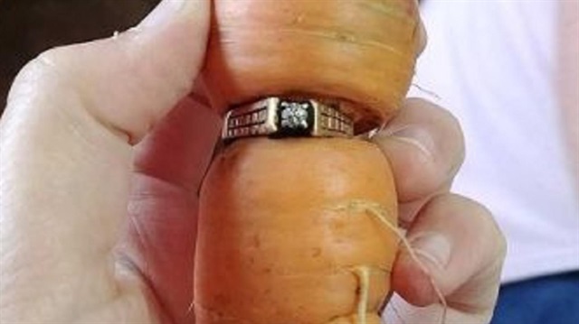 ​

إذا فقدتَ خاتماً ثميناً فازرع جزرة! هكذا أعادت الثمرة البرتقالية خاتماً ماسياً عمره 66 عاماً