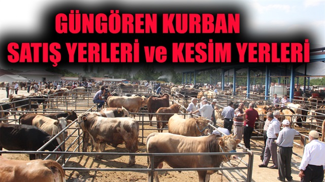 İşte İstanbul Güngören kurban satış ve kesim yerleri…