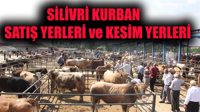 İşte İstanbul Silivri kurban satış ve kesim yerleri…