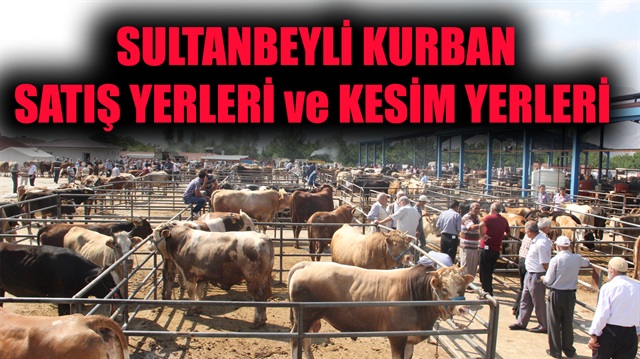  İşte İstanbul Sultanbeyli kurban satış ve kesim yerleri…