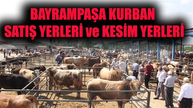 İşte İstanbul Bayrampaşa kurban satış ve kesim yerleri…