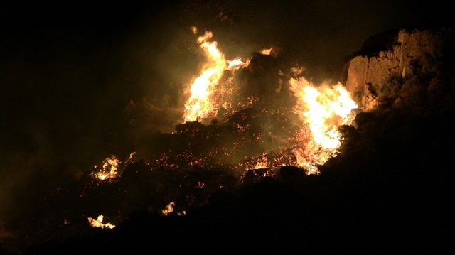 Hatay'daki orman yangınında 5 hektar alan zarar gördü