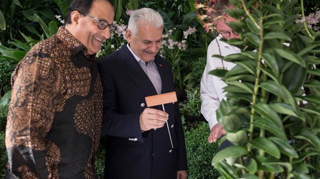 Başbakan Yıldırım, isminin bir orkideye verildiği Singapur Ulusal Orkide Bahçesi'nde düzenlenen orkide isimlendirilme törenine katıldı.