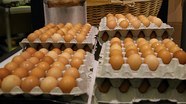Avrupa'daki böcek ilaçlı yumurta skandalı büyüyor.
