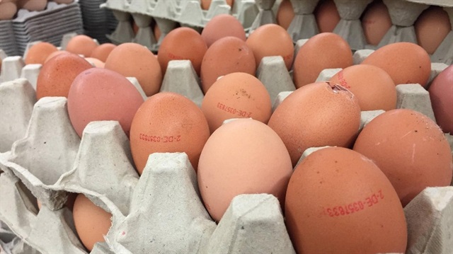 Türkiye'de yapılan analizlerde yumurtalarda söz konusu madde tespit edilmedi.
