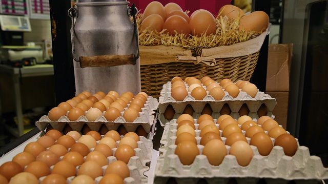 Avrupa'daki böcek ilaçlı yumurta skandalında son durum