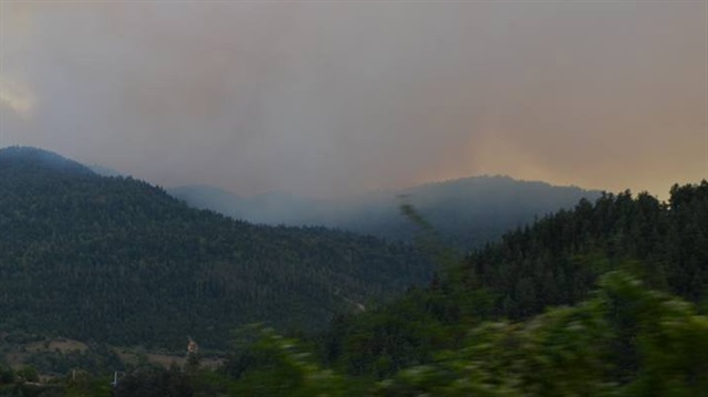 Gürcistan'da orman yangını çıktı. 