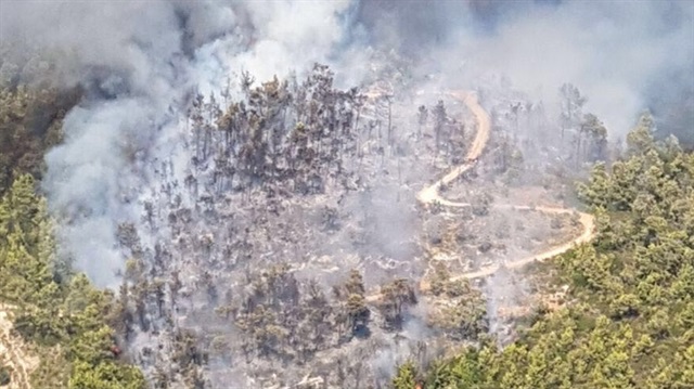 Muğla'nın Menteşe ilçesine bağlı Akbük Mahallesinde ormanlık alanda yangın çıktı.