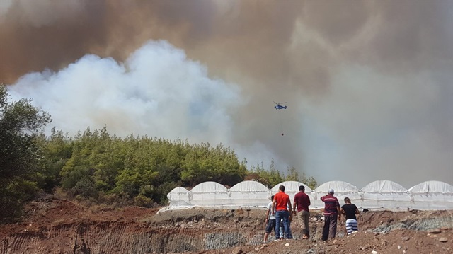 Antalya Kumluca'da orman yangını