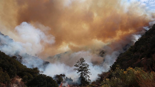 Karabük'ün Eflani ilçesinde çıkan orman yangını söndürüldü.