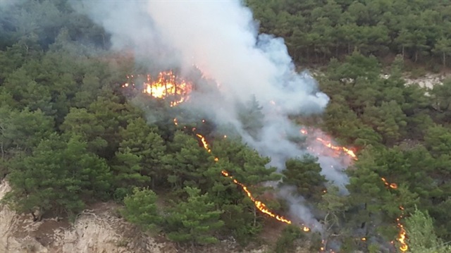 Tokat’taki orman yangınında 10 dönüm arazi kül oldu