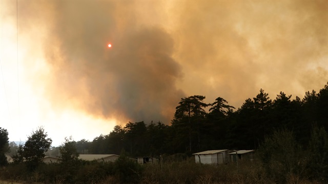 Bolu’daki orman yangını havadan görüntülendi

