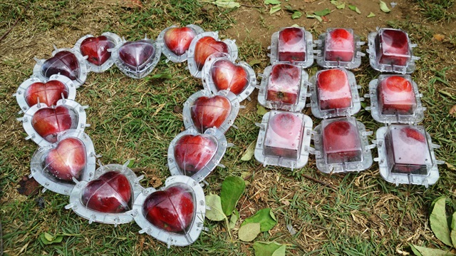 Kalp ve küp şeklinde üretilen elmalar, yurt içi ve dışından büyük ilgi görüyor.