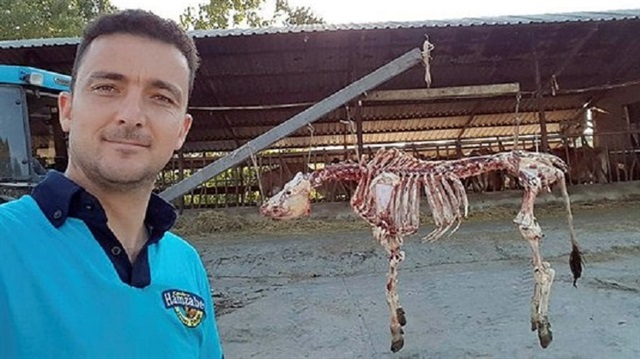 Orçun Maviş, etlerini iskeletinden ayırdığı hayvanın fotoğrafını sosyal medyada paylaştı.