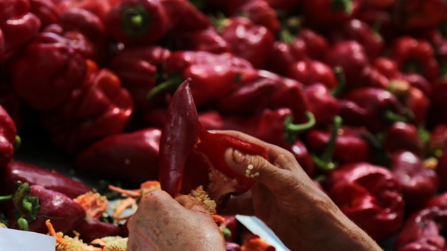 Gastronomi şehrinin kadınları için salça zamanı