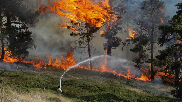 Kütahya'da kontrol altına alınan orman yangını tekrar başladı