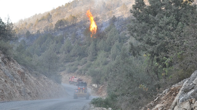 Balıkesir'de ev yangını ormana sıçradı