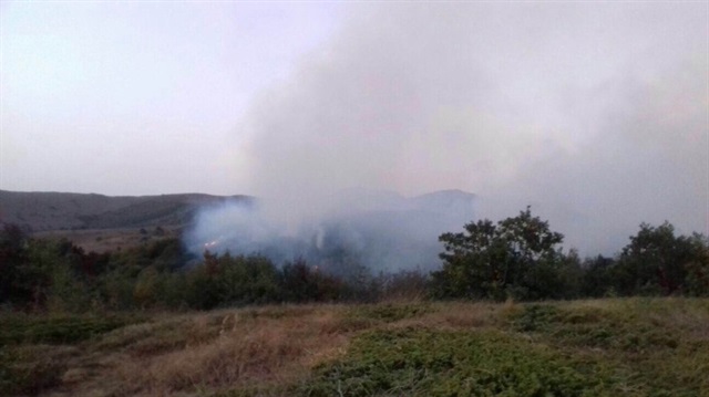 Sivas’ta orman yangını haberi