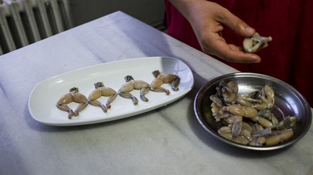 Kurbağa bacakları, yağda kızartılmış halde porsiyonu 20-30 liradan menülerdeki yerini alıyor.