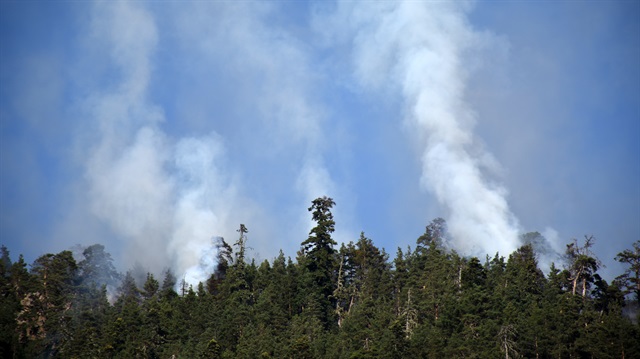 Muğla'da orman yangını çıktı-Son dakika haber
