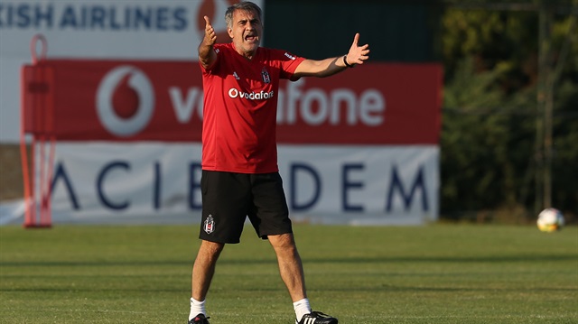 Beşiktaş Teknik Direktörü Şeneol Güneş  (Fotoğraf Arşiv'den alınmıştır.)