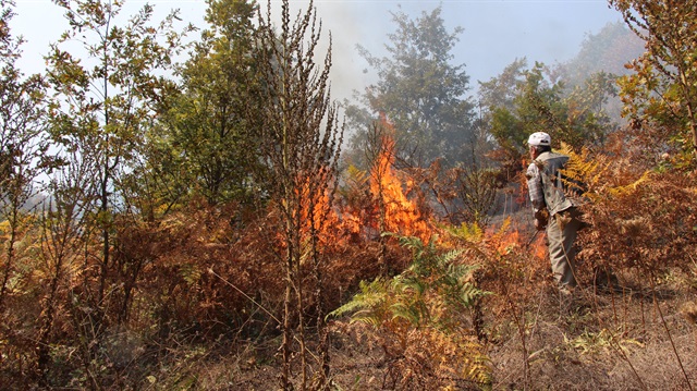 Bilecik'te orman yangını kontrol altına alındı
