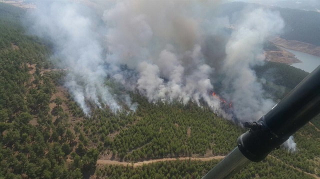 Denizli'de orman yangını

